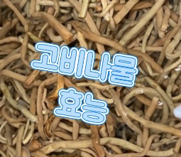 고비나물-효능