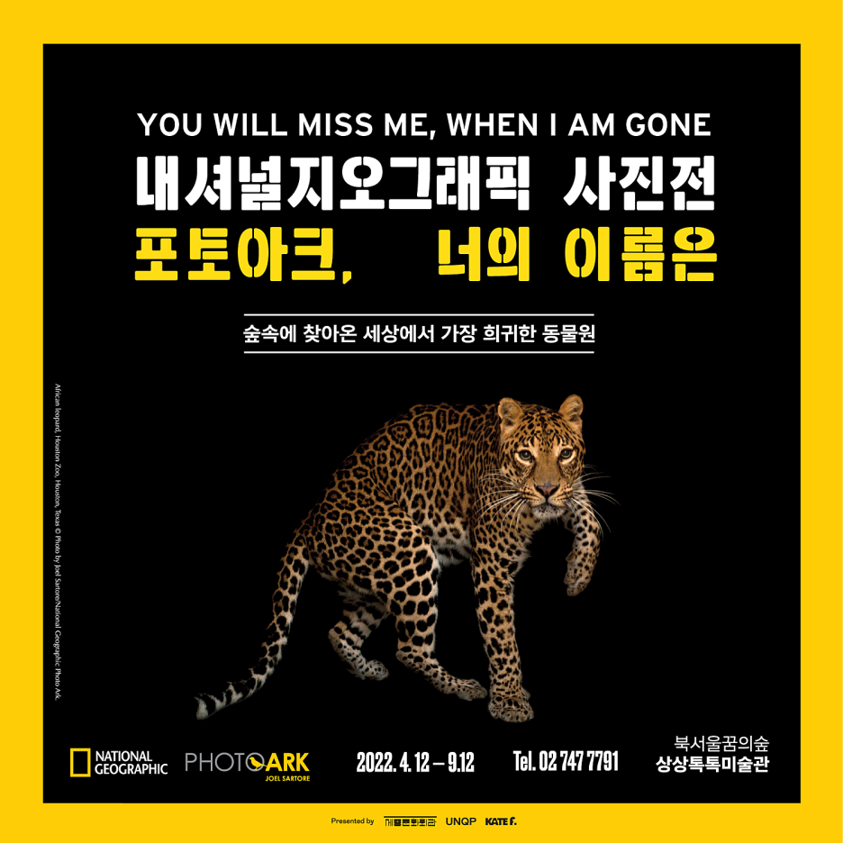  어쩌면 더 이상 지구에서 볼 수 없는 멸종 위기 동물들을 위한 '포토아크, 너의 이름은' 사진전 @ 북서울꿈의숲 상상톡톡미술관