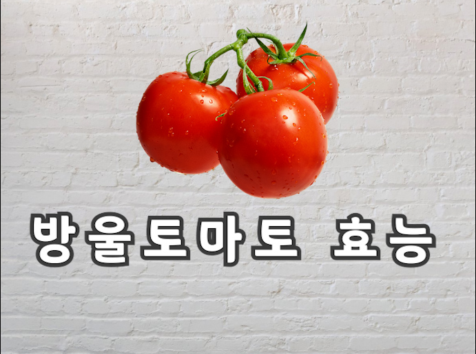  방울토마토 효능에 대한 모든것