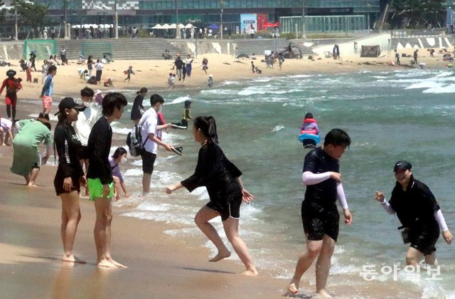  여름아 반갑다![퇴근길 한 컷]