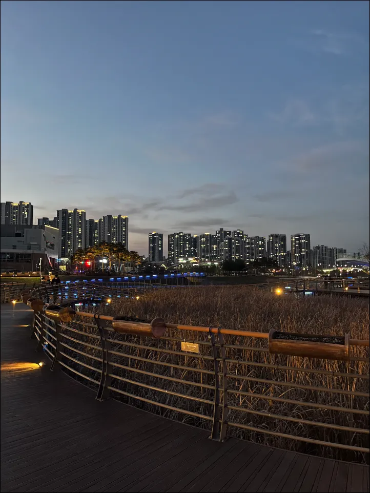 옥정호수공원 야경