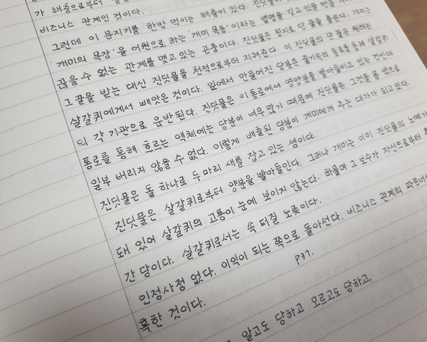글씨연습 필기구 노트