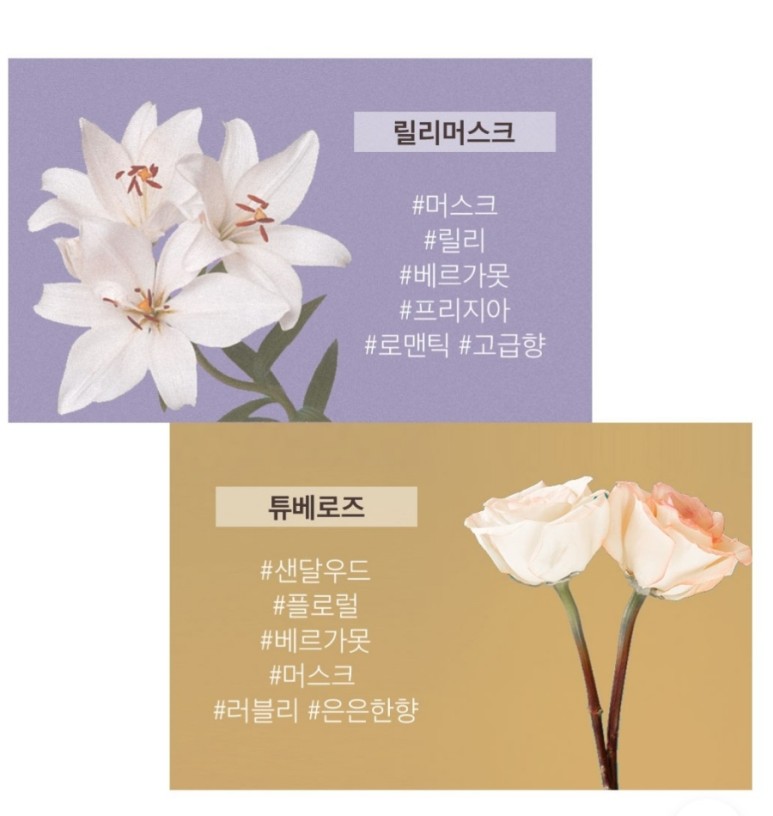라비엘 이미지