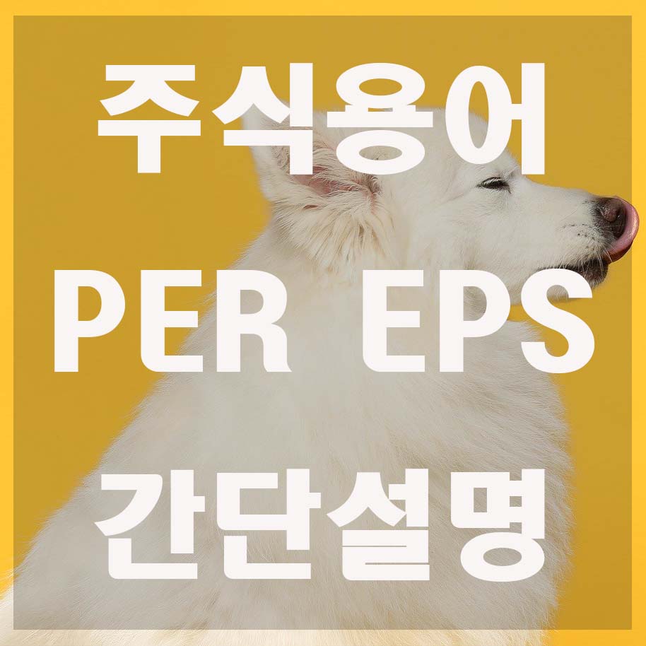  주식 PER EPS 용어 간단설명