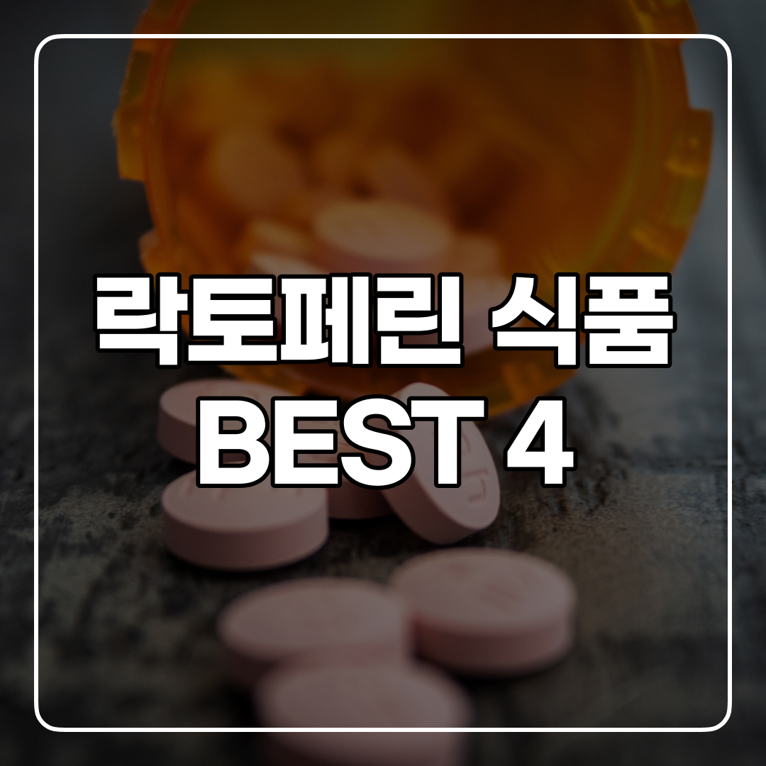  락토페린 섭취를 위한 음식 4가지 추천!