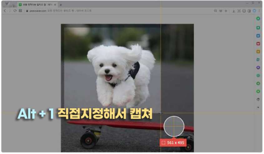 컴퓨터 화면 스크롤 캡쳐 단축키