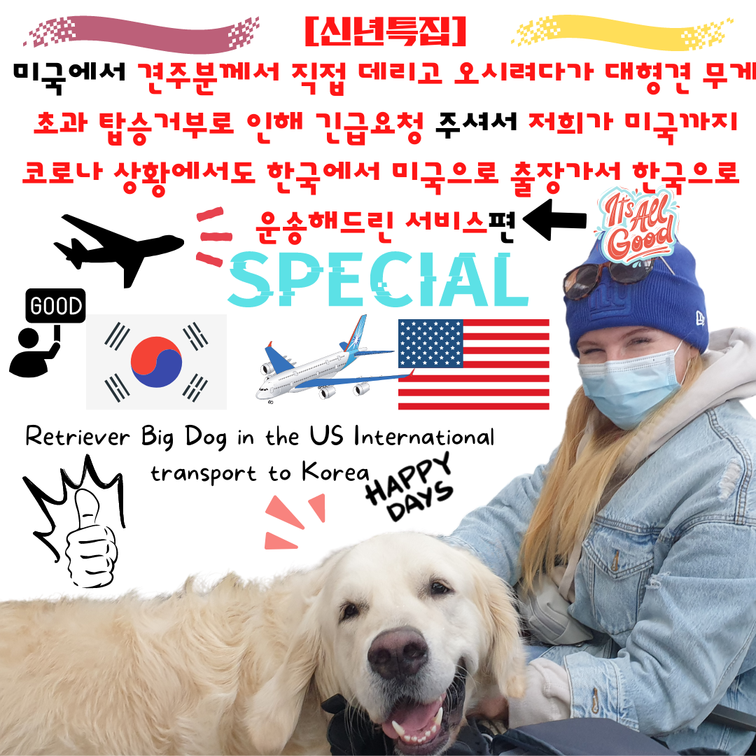  해외에서 강아지 고양이 한국으로 운송 서비스 대형견 한국으로 데려오기 강아지해외출국 고양이해외출국 강아지해외검역 고양이해외검역 대형견카고운송 대형견검역 큰개해외운송 강아지..