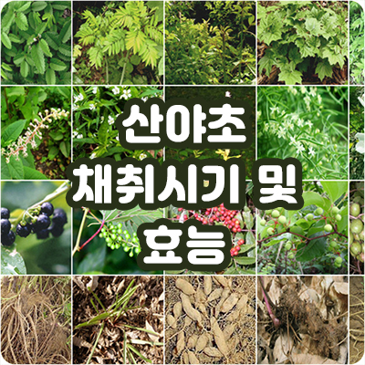  smarti,스마트아이