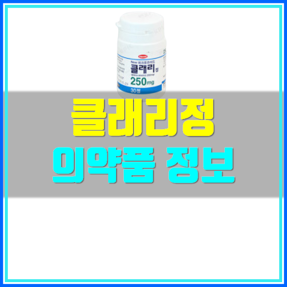  클래리정 250mg 복용법 및 부작용