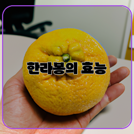 -한라봉-건강-아름다움