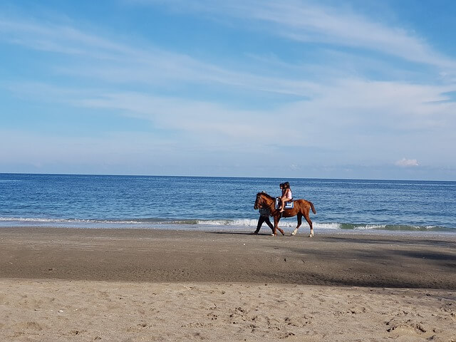 파타야 이미지