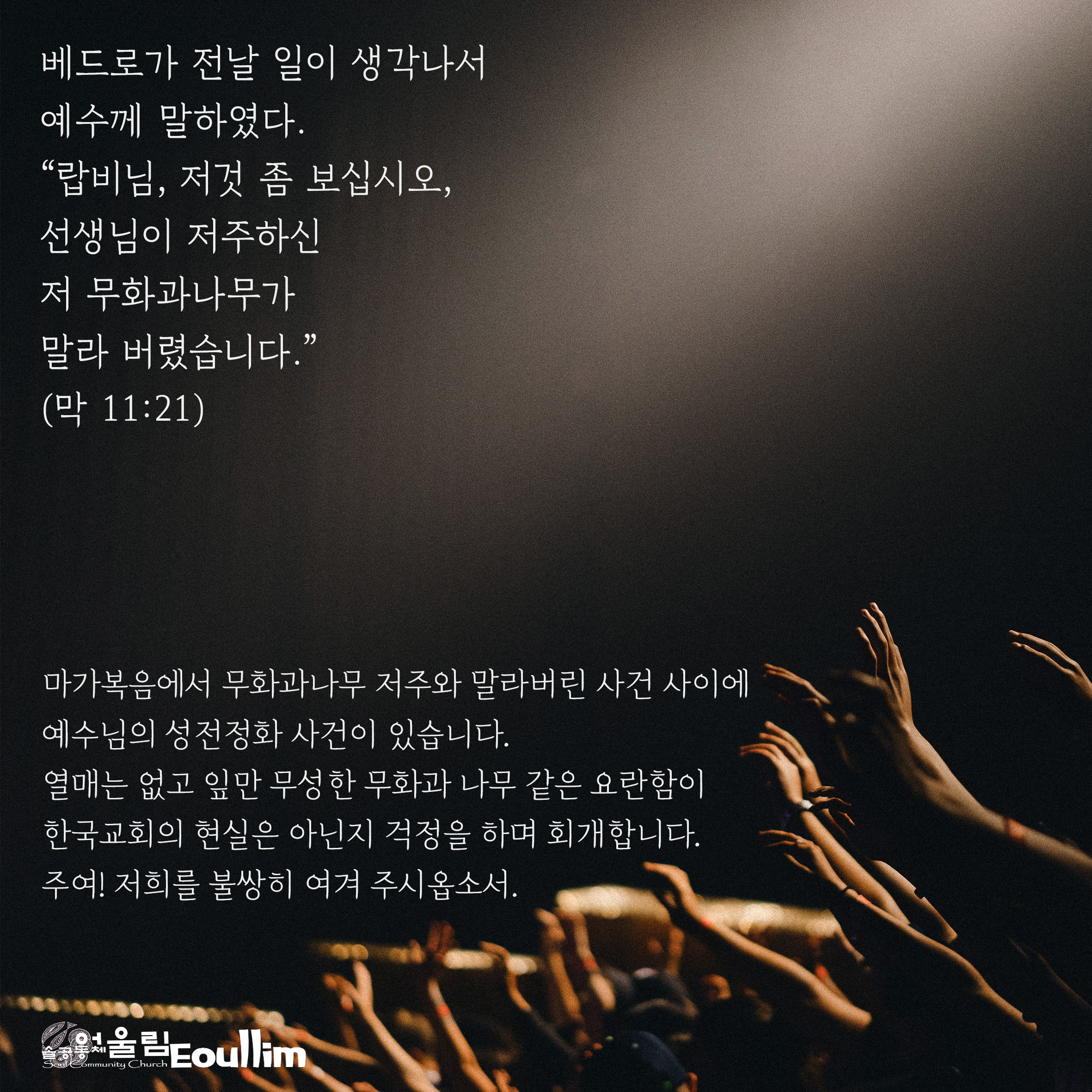 (주)마가 이미지