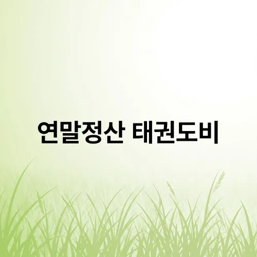 연말정산 태권도비