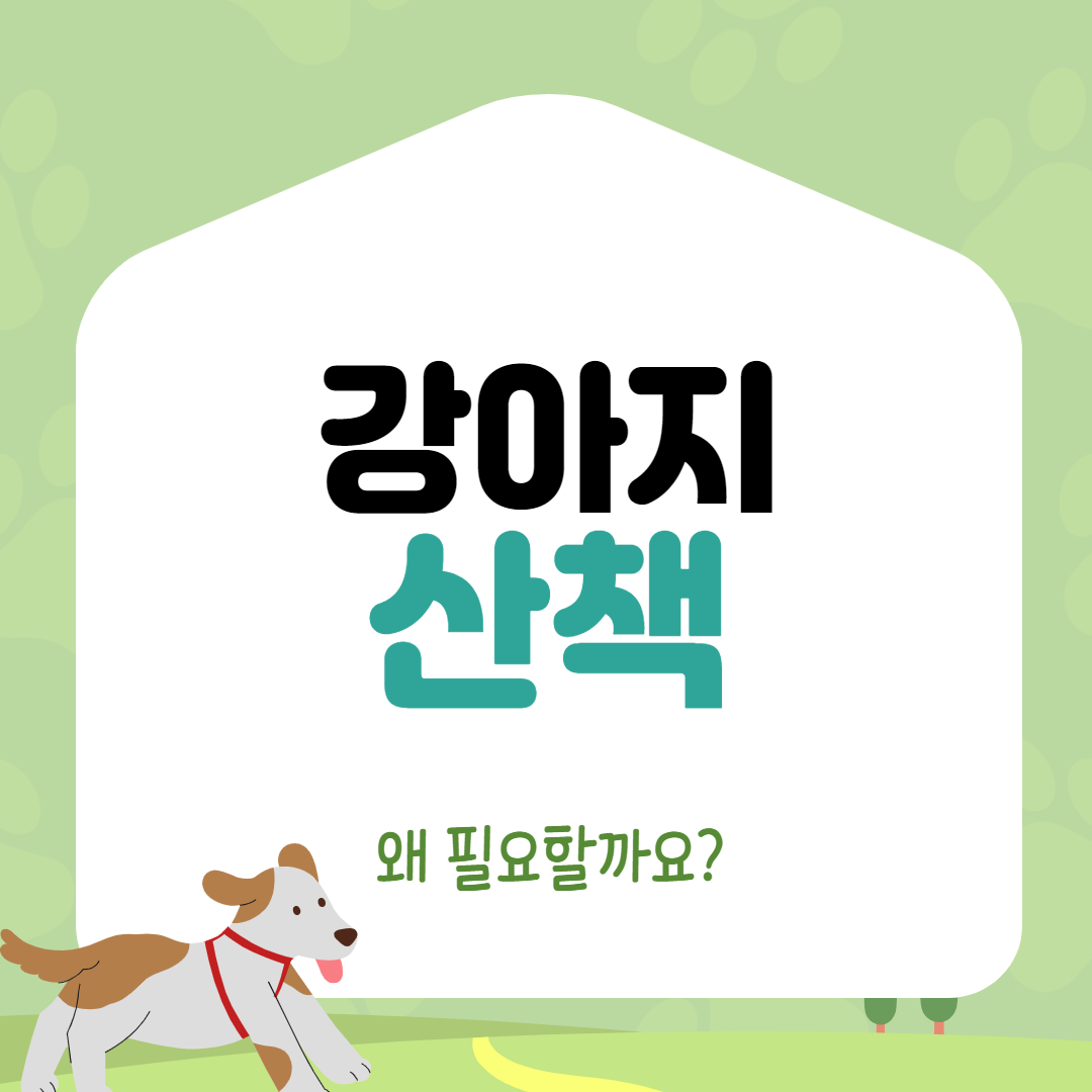  강아지 산책 왜 필요할까요
