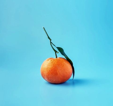 오렌지 효능