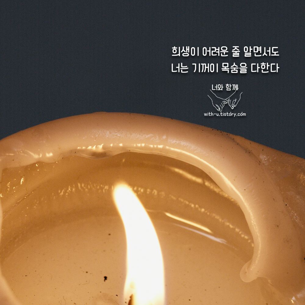  촛불 명언 : 짧고 좋은 글귀 : 짧은 명언