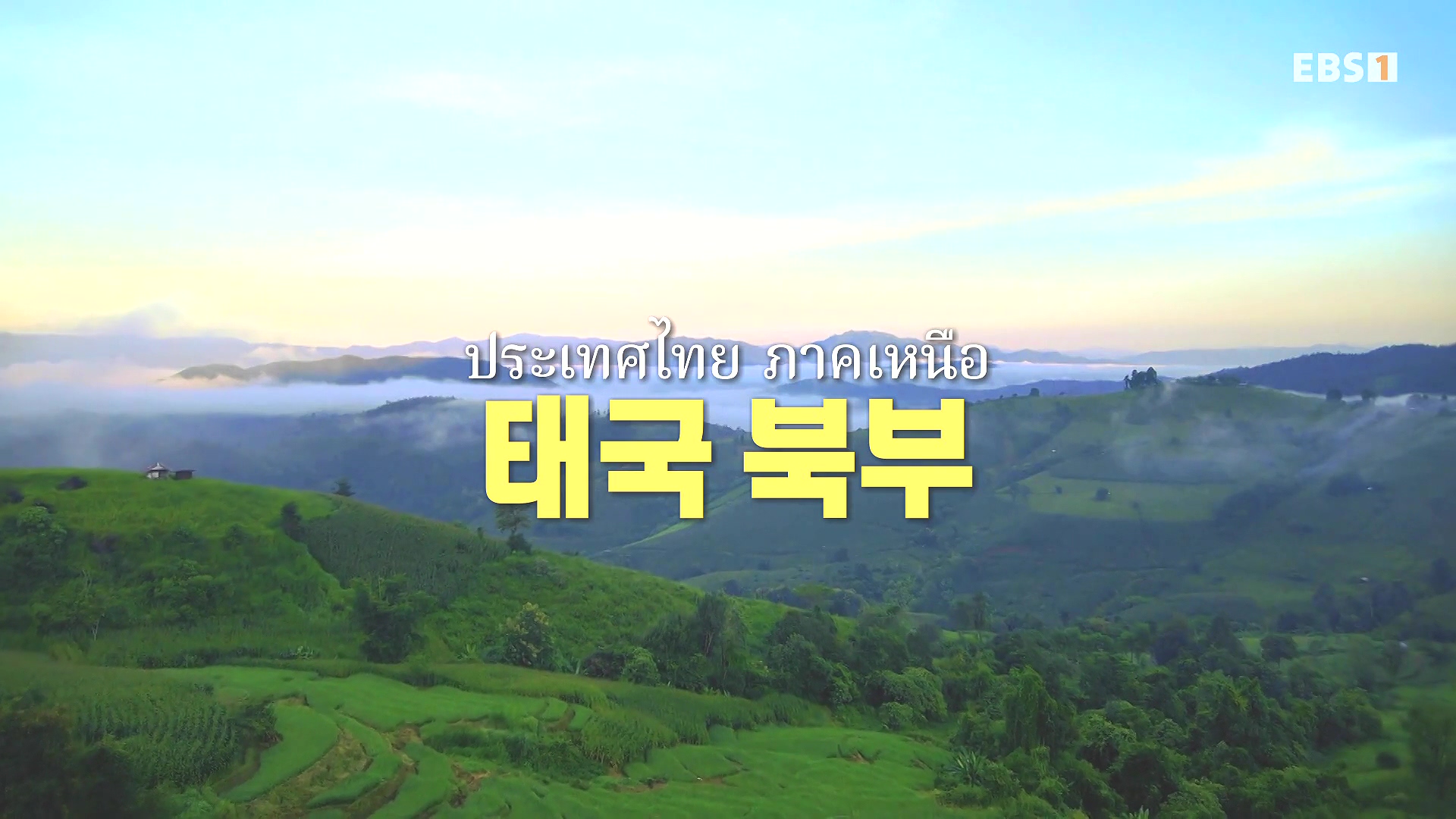 세계테마기행.240221.태국 북부 인생길 기행 3부. 인생 맛, 손맛0P.mp4_20240806_201026.465.jpg