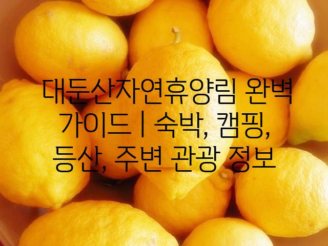 랜덤141