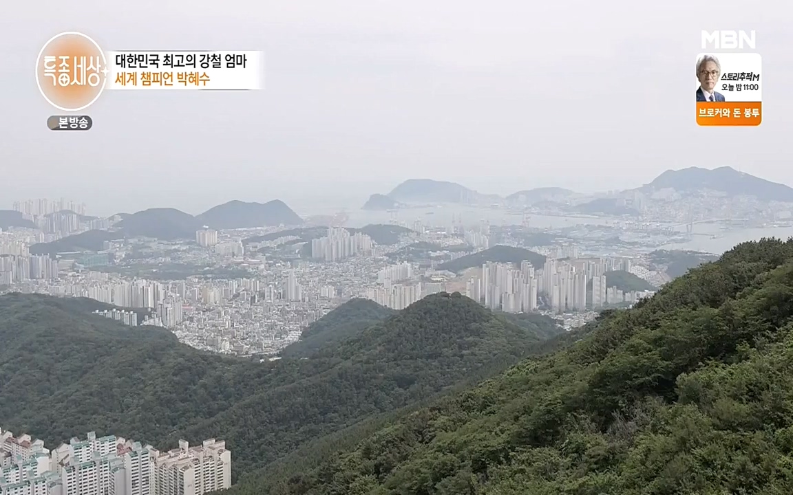 현장르포 특종세상.E533.220603p-NEXT.mp4_20220603_204349.575.jpg