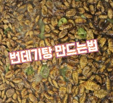 번데기탕-만드는법