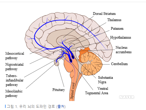  당신이 성공하기 위해 해야 하는 한해 계획, 목표(도파민 디톡스 챌린지)