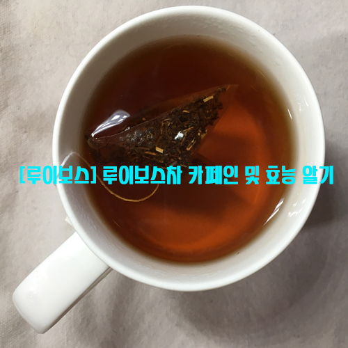  [루이보스] 루이보스차 카페인 및 효능 알기