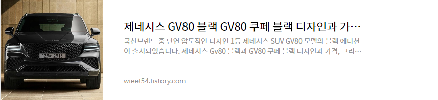 제네시스GV80블랙 총정리