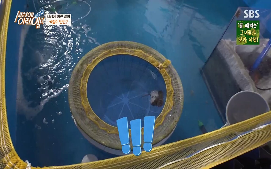순간포착 세상에 이런일이.E1178.220504p-NEXT.mp4_20220504_180724.230.jpg