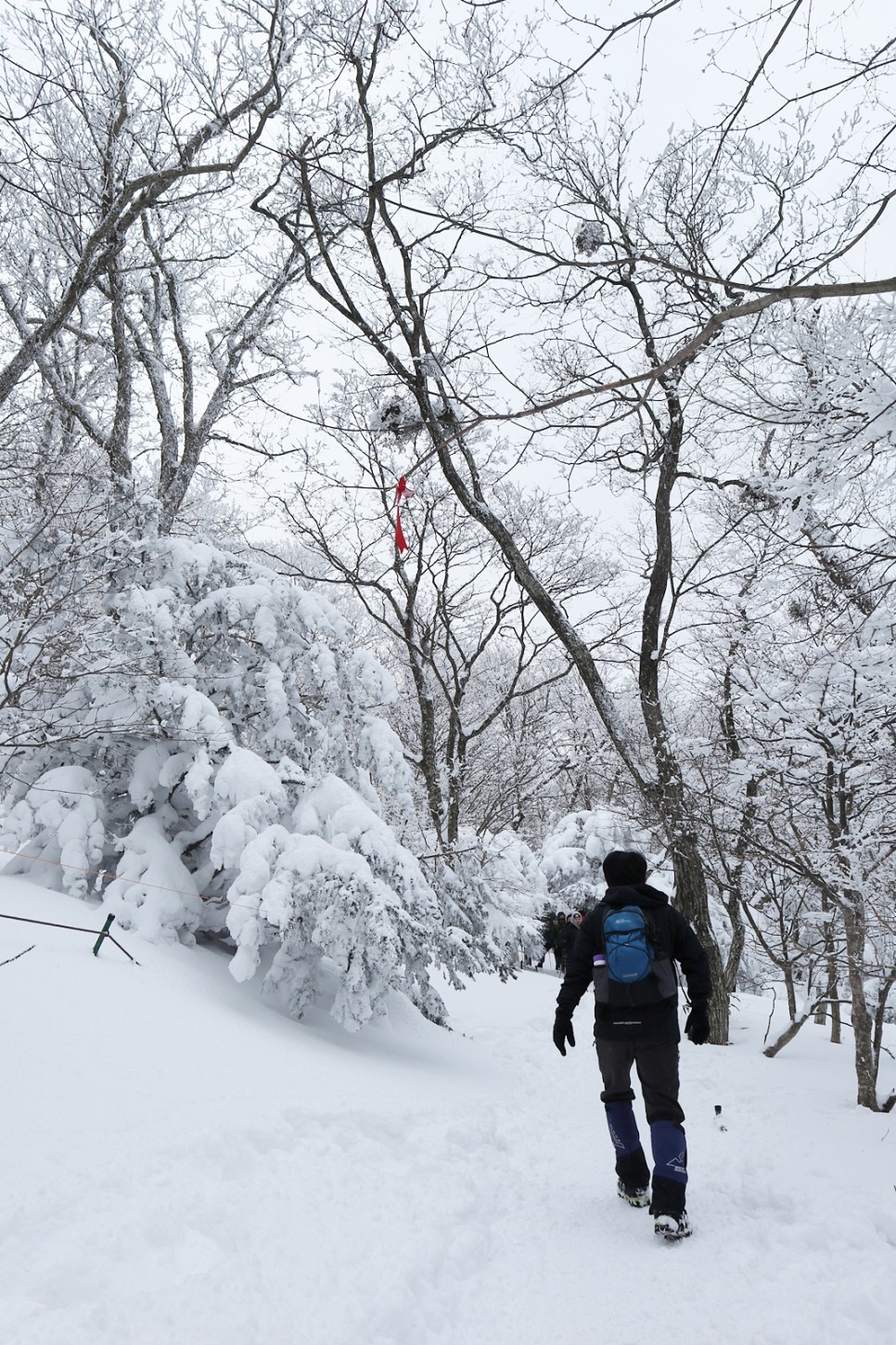 눈쌓인 겨울산 이미지 71