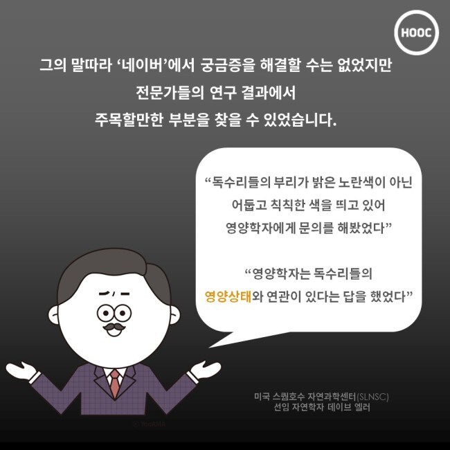 그의 말따라 '네이버'에서 궁금증을 해결할 수는 없었지만 전문가들의 연구 결과에서 주목할만한 부분을 찾을 수 있었습니다.
HOOC
-
“독수리들의 부리가 밝은 노란색이 아닌 어둡고 칙칙한 색을 띄고 있어 영양학자에게 문의를 해봤었다&quot;
&quot;영양학자는 독수리들의 영양상태와 연관이 있다는 답을 했었다&quot;
00
미국 스퀀호수 자연과학센터(SLNSC) 선임 자연학자 데이브 엘러