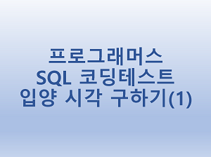  [프로그래머스] SQL 코딩테스트 입양 시각 구하기(1)