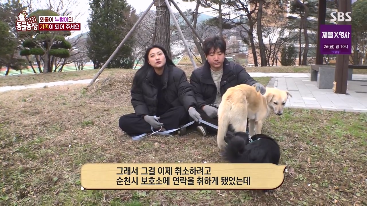 TV 동물농장.E1154.240115p-NEXT.mp4_20240114_184117.012.jpg