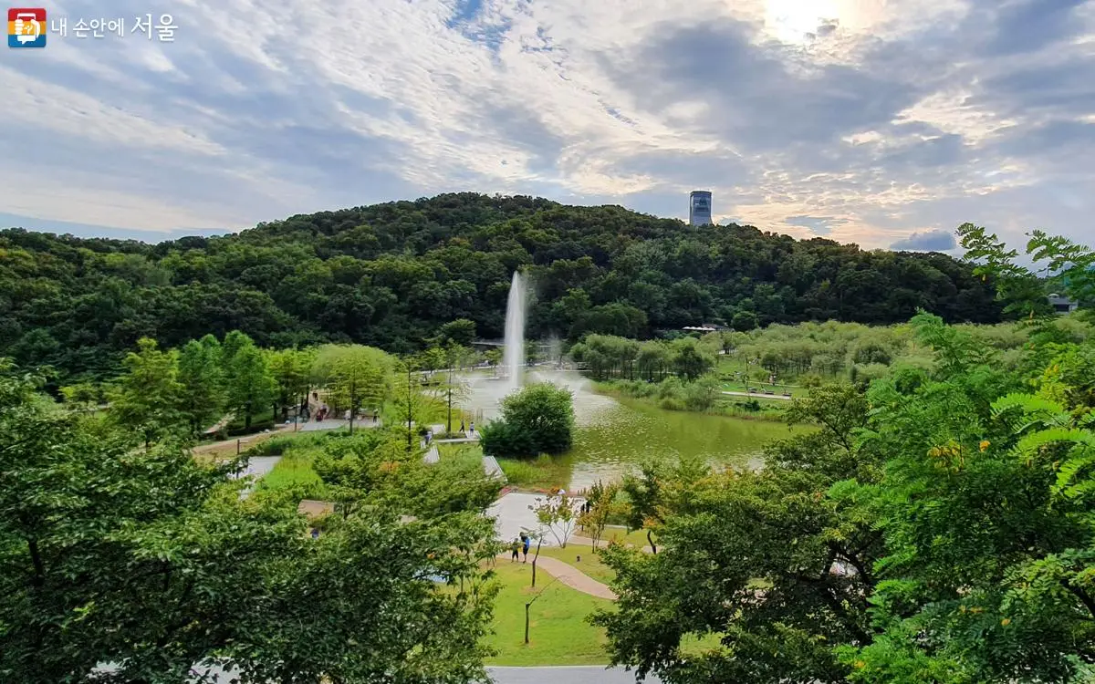 북서울 꿈의 숲: 북부 서울의 숨은 명소 (Dream Forest: Hidden Gem in Northern Seoul)