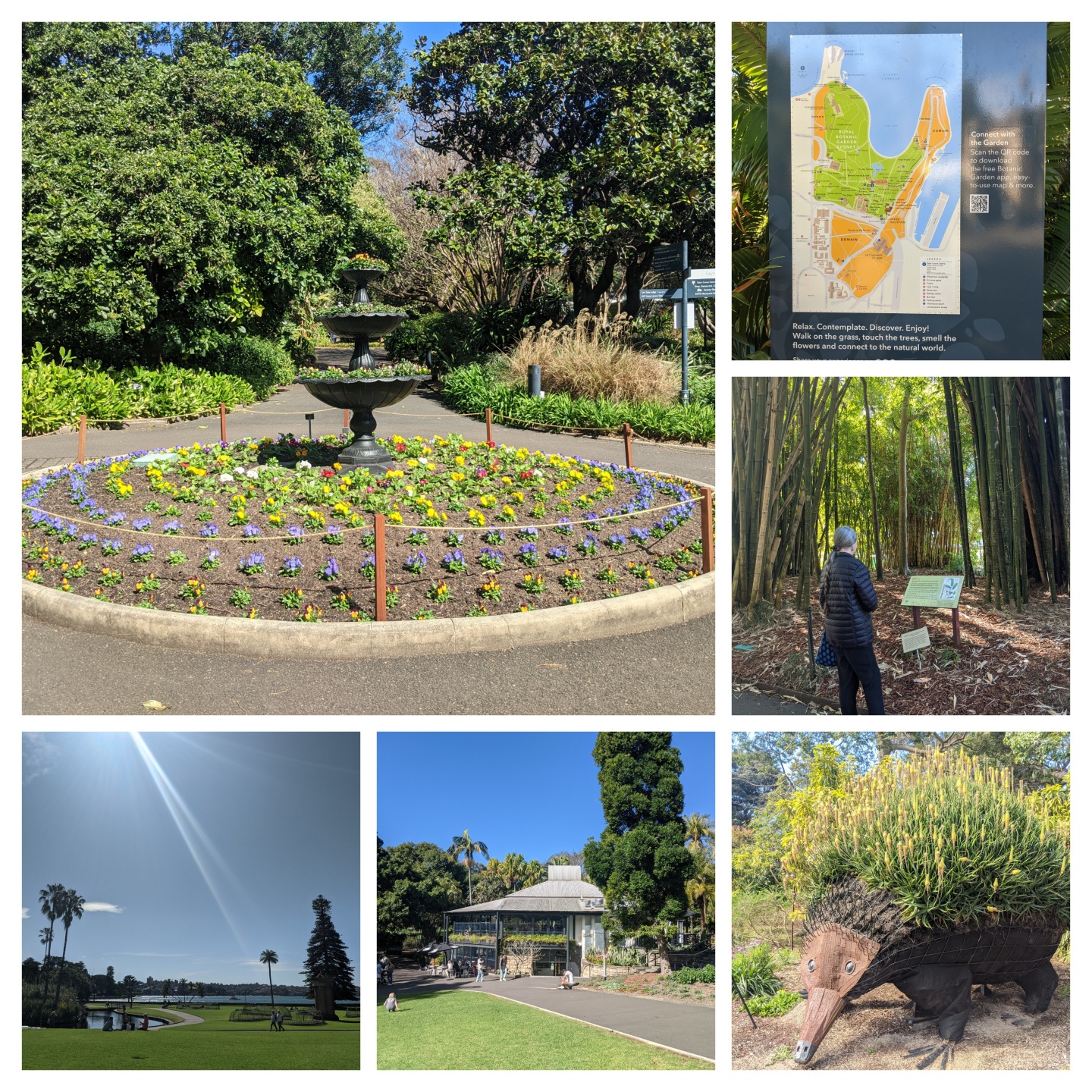 royal-botanic-garden