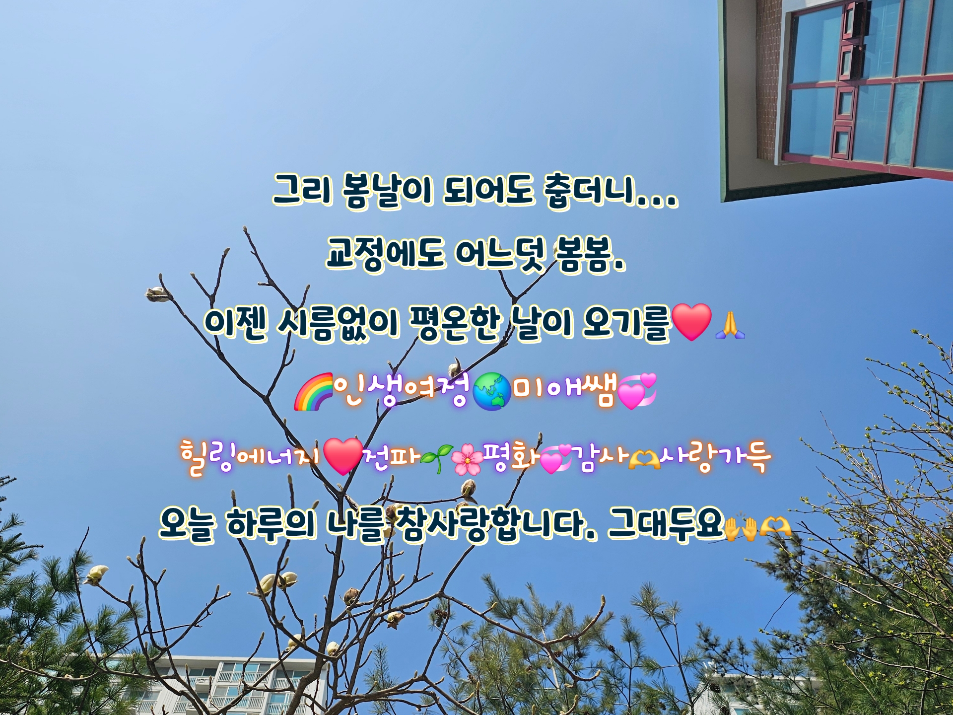 봄봄 이미지