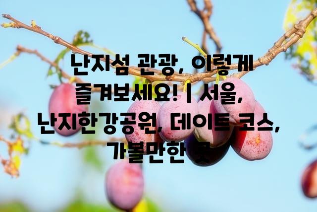 랜덤186