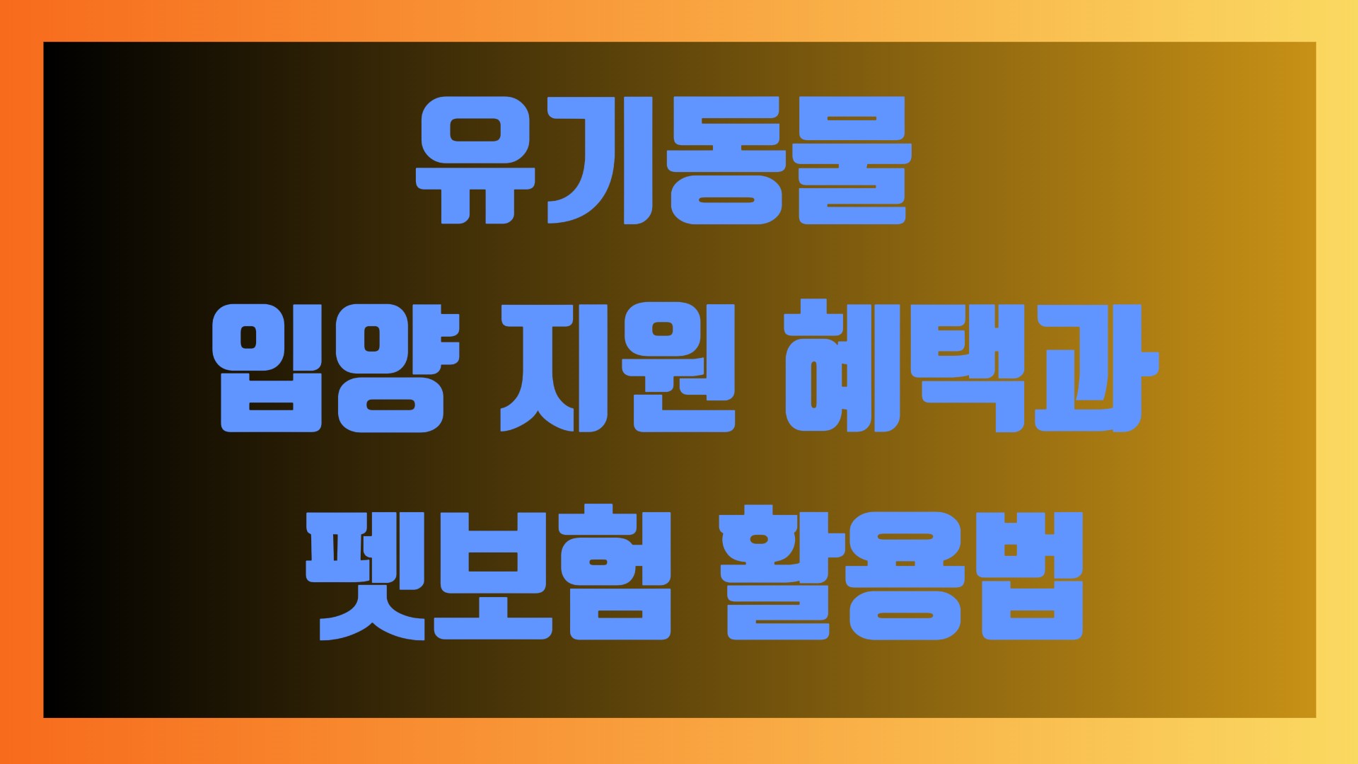 유기동물 입양 지원 혜택과 펫보험 활용법