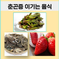 춘곤증 이기는 음식으로 소개된 두릅, 쭈꾸미, 딸기의 사진 이미지