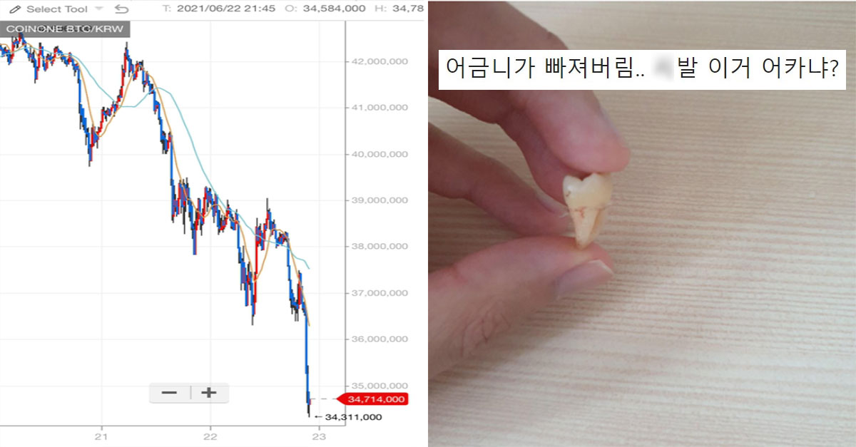 비트코인 ㅆ폭락에 또 한번 난리난 비트코인 갤러리