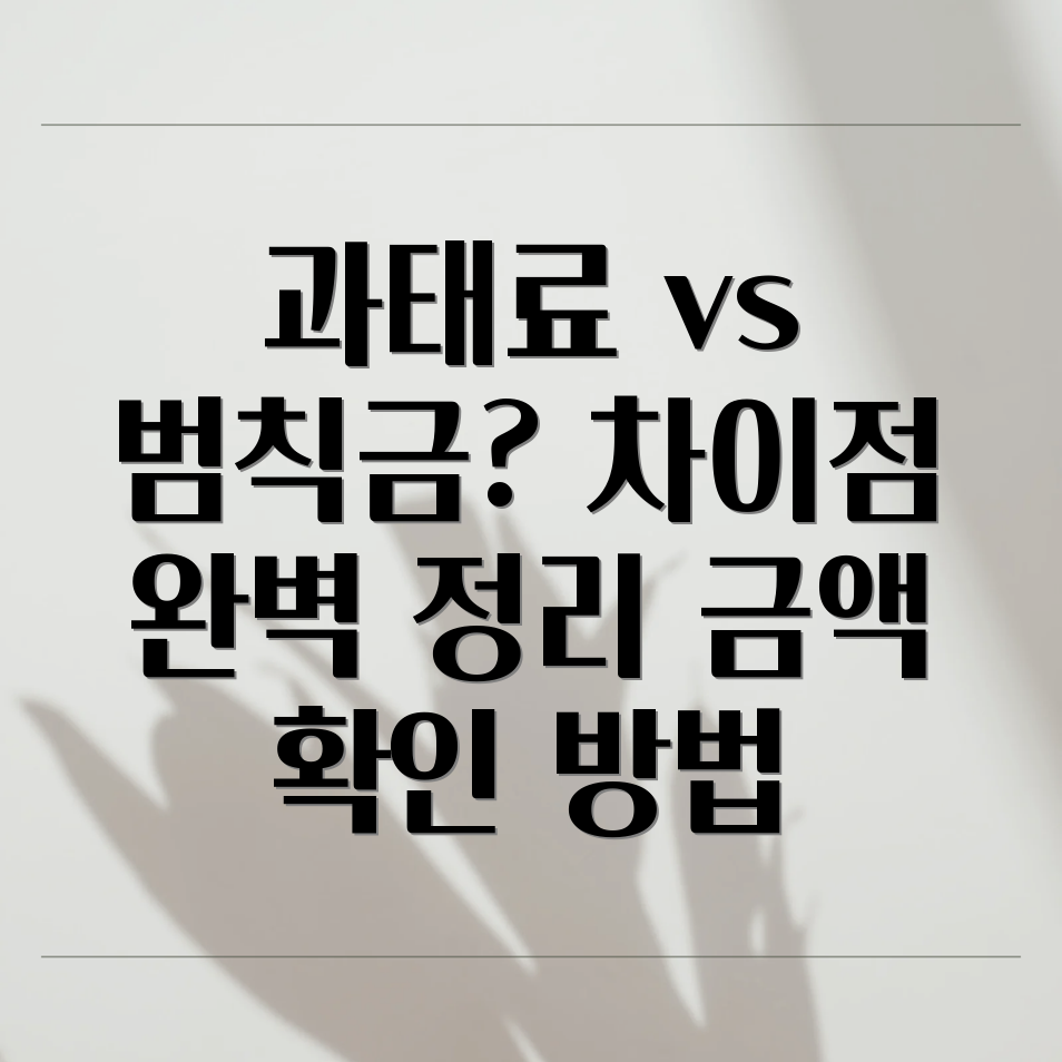 과태료범칙금