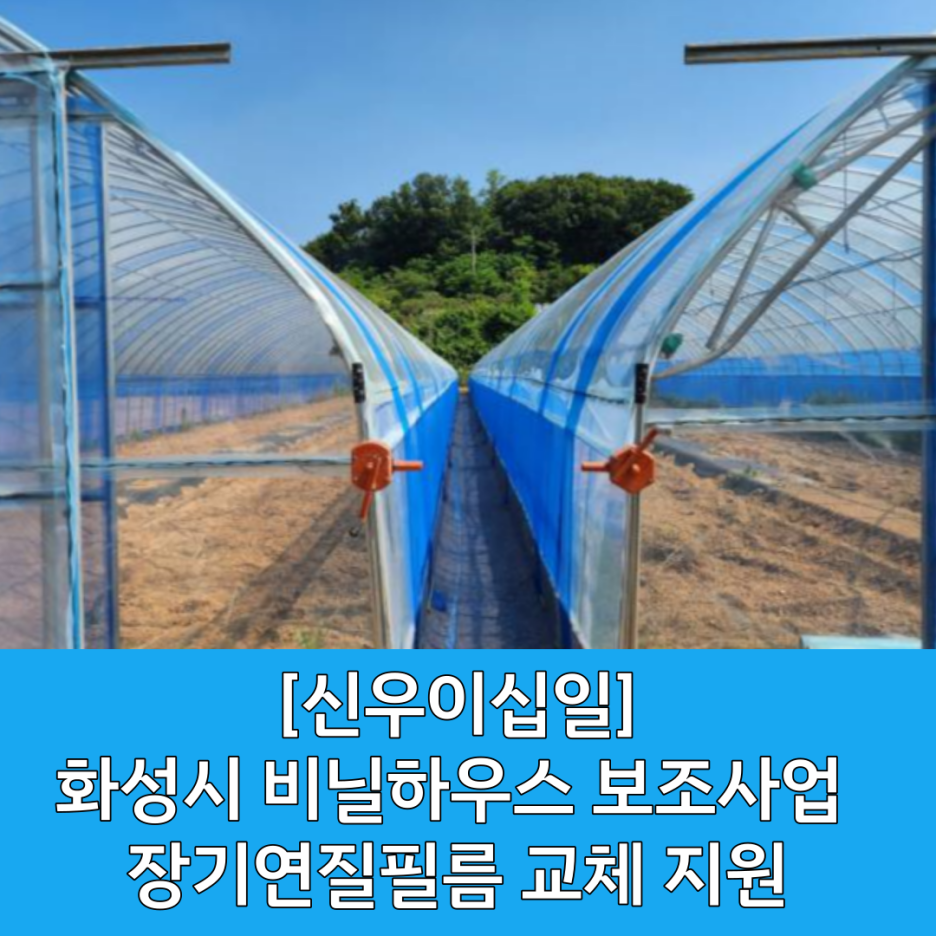 [화성시 비닐하우스] 장기연질필름 / 비닐하우스 비닐 교체 / 낙타표비닐 온라인 최저가 / 짱짱비닐 / 학표비닐 / 일제비닐 / 비닐 피복 교체 / 비닐하우스 시공 / 화성시비닐하우스 / 화성시 농..