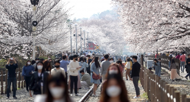 진해 군항제 벚꽃축제 안내 (2023 최신버전) 28