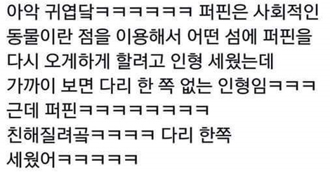  너무 착한 퍼핀