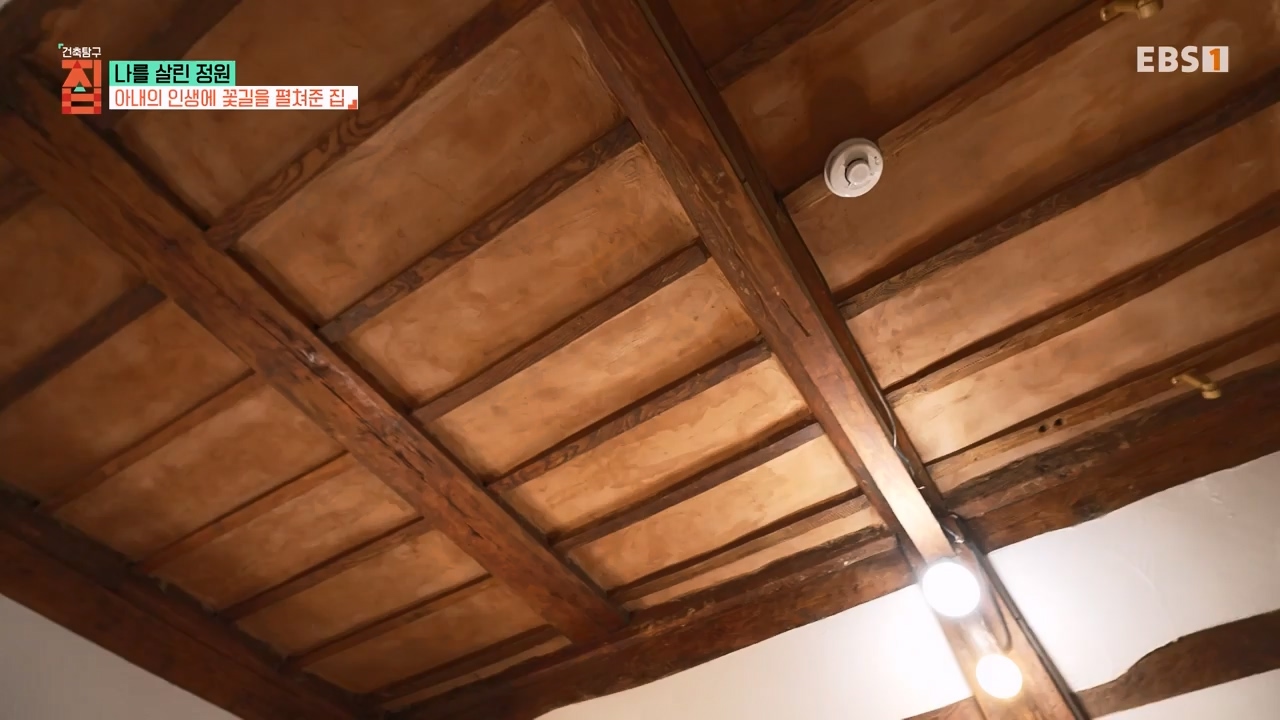 TV - 전 국민의 평생학교 EBS나를 살린 정원.mp4_20230814_211336.306.jpg