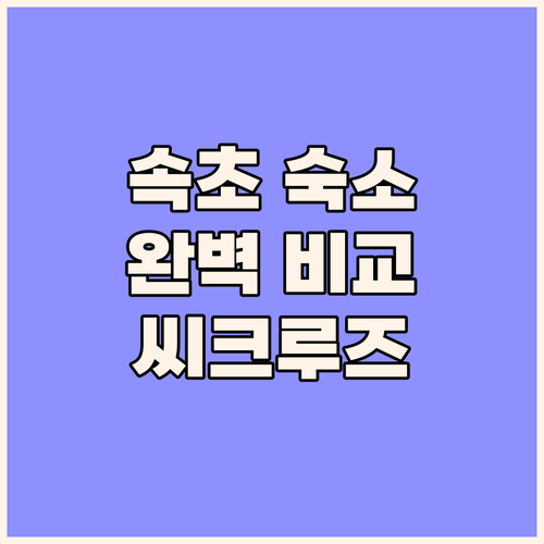 속초 여행객 필독 씨크루즈호텔 아이파