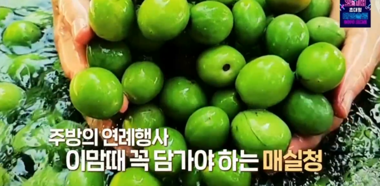  매실청 담그기 홍쌍리알토란매실절임 매실소고기볶음장장아찌 만드는법 원영호 셰프 매실장아찌오징어무침 매실콩나물냉국 레시피 초여름의맛매실밥상
