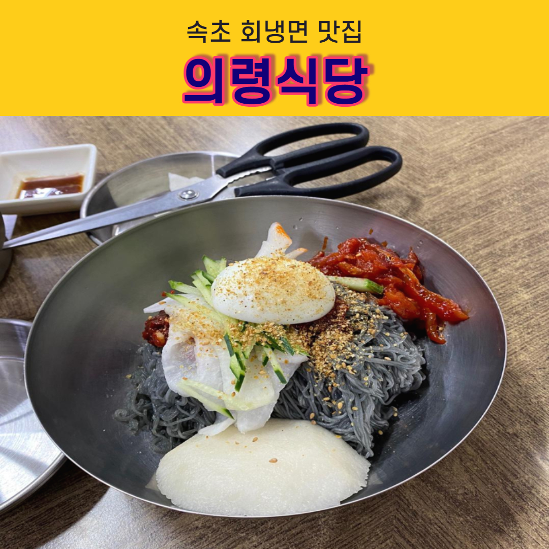 속초 의령식당, 너무 만족스러웠던 회냉면 맛집