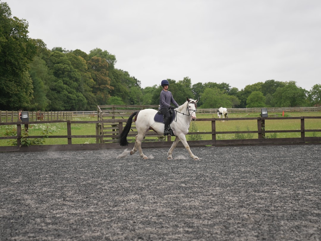 Trot