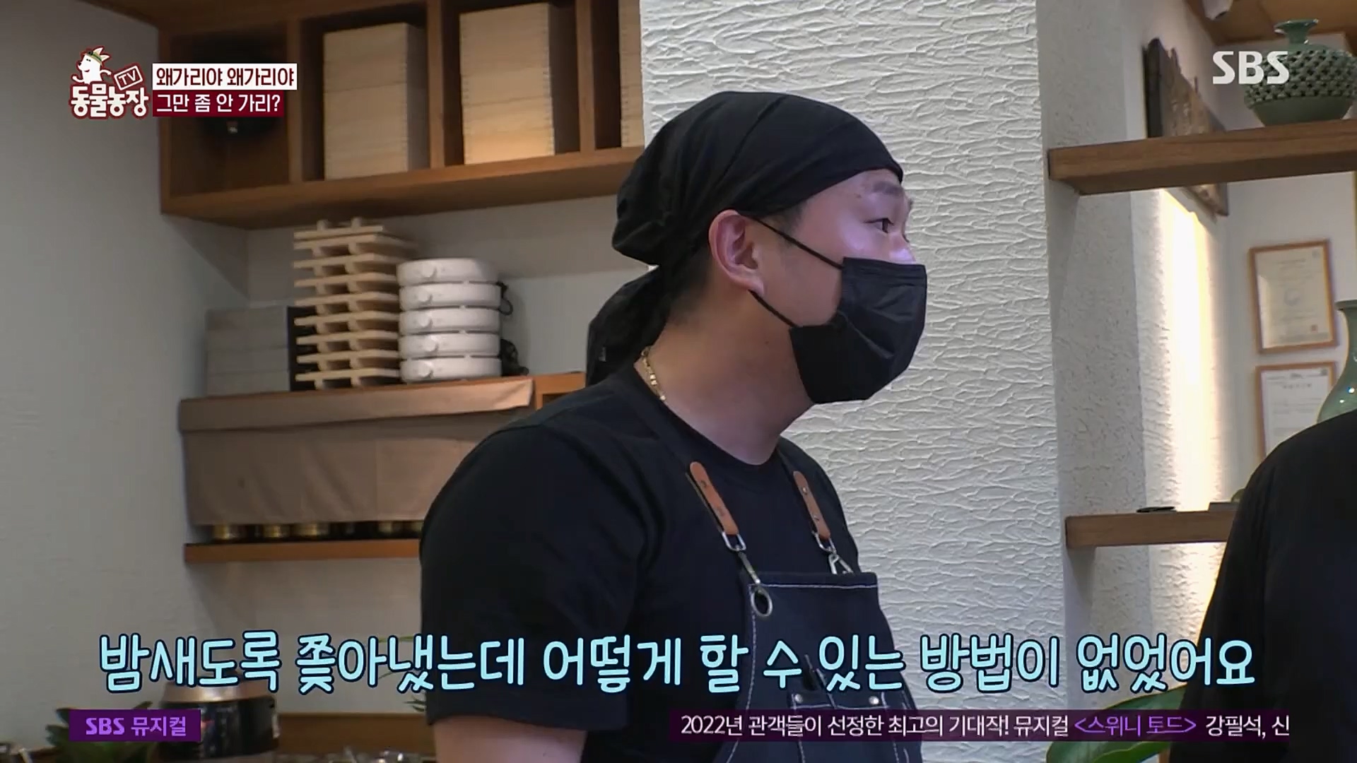 TV 동물농장.E1103.230108p.H264-F1RST.mp4_20230108_174634.165.jpg