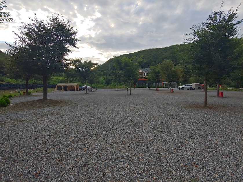 나무와-산이-보이는-파쇄석-깔린-마당